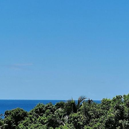 Joli T2 En Bas De Villa Vue Jardin Et Mer Vieux-Habitants Exterior photo